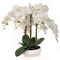 18" White Phalaenopsis Orchid Flowers in Elegant White Ceramic Vase - Lifelike Artificial Plant for Home, Office & Event Decor - Floral Home by Artificial Flowers